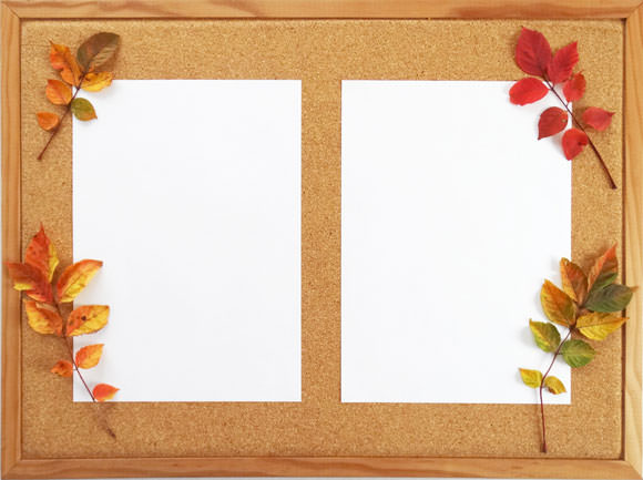 5cd30e257329fe9c57adf9460601d799_l_mini