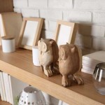 bookcase-620763_1280