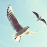 photo-1420708392410-3c593b80d416