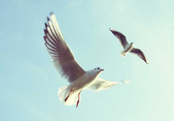 photo-1420708392410-3c593b80d416