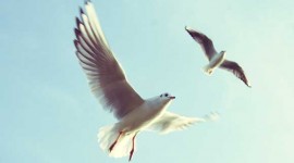 外資系企業で働くメリットとデメリット