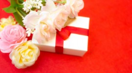 カタログギフトの有効期限が切れたけど、申請ハガキを送ってみた